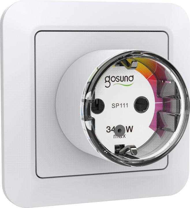 Actual product image Gosund smart plug