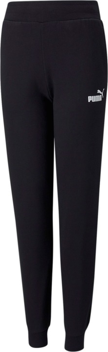 Actual product image Puma Essentials Sweatpants-587038 (176)
