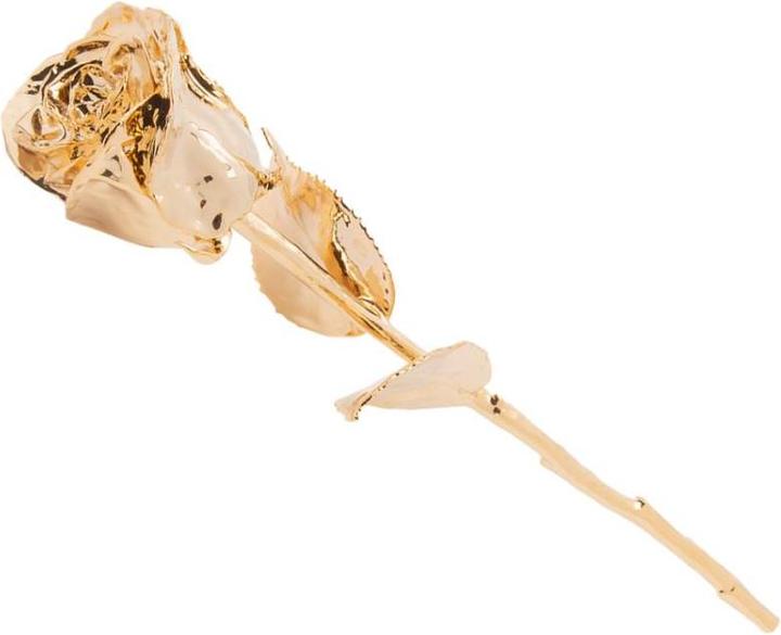 Image du produit TOP Rose en or (34 x 12 x 10 cm)