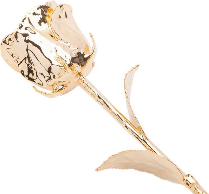 Image du produit TOP Rose en or (34 x 12 x 10 cm)