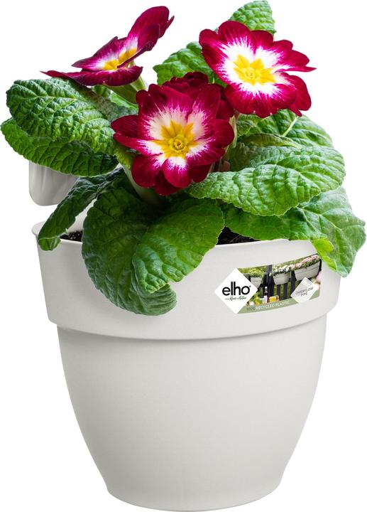 Actual product image Elho Flower Bowl (24.10 x 20.50 x 26.50 cm)