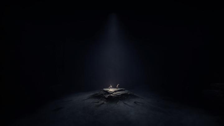 Immagine prodotto THQ Reanimal (PS5, EN, FR, IT)