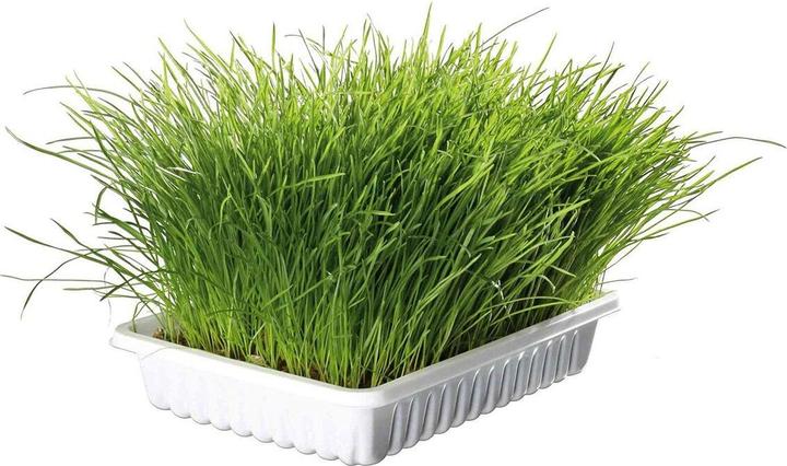 Produktbild Trixie Junior Welpengeschirr mit Leine (Hund)