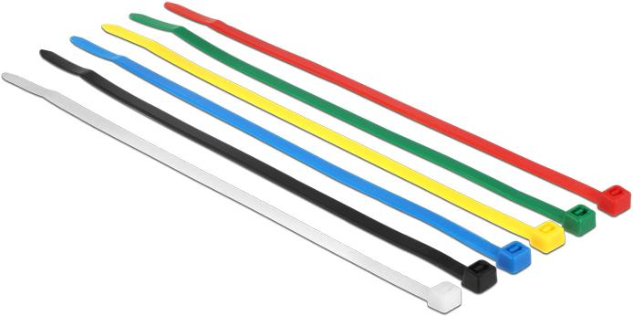 Delock Kabelbinder (Kunststoffkabelbinder, 200 mm, 100 Stk.)