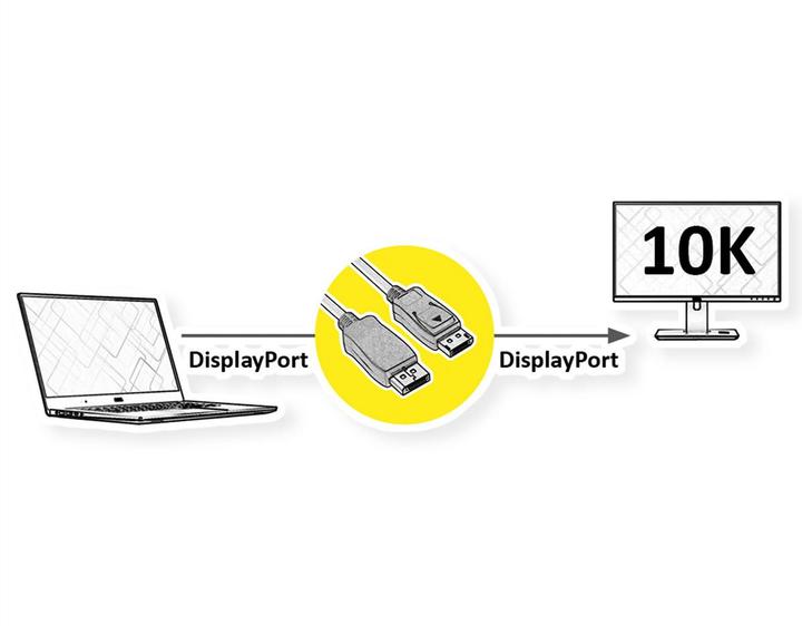 Immagine prodotto Roline DisplayPort – DisplayPort (1.50 m)