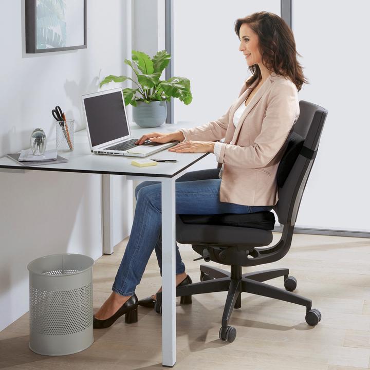 Immagine prodotto Erwin Müller Cuscino lombare (Toilette)