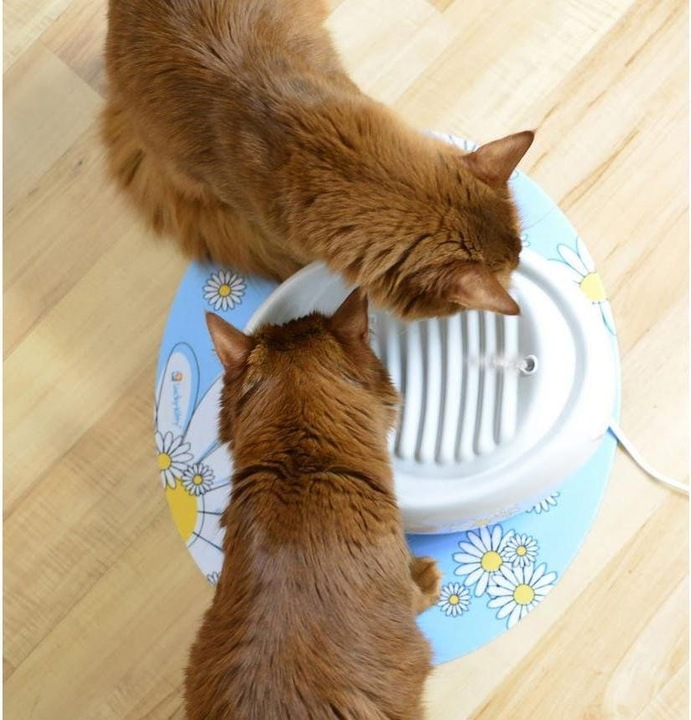 Actual product image Lucky Kitty Cat Fountain (1.50 l)