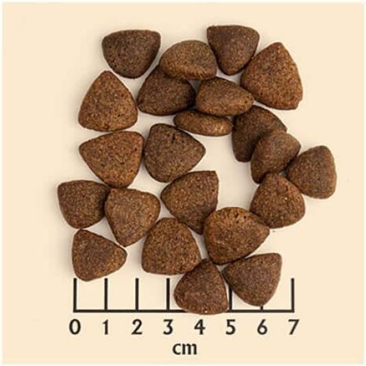 Image du produit Wolfsblut Wild Duck Large Breed Puppy (Junior, Chiot + chaton, 1 pcs, 12500 g)