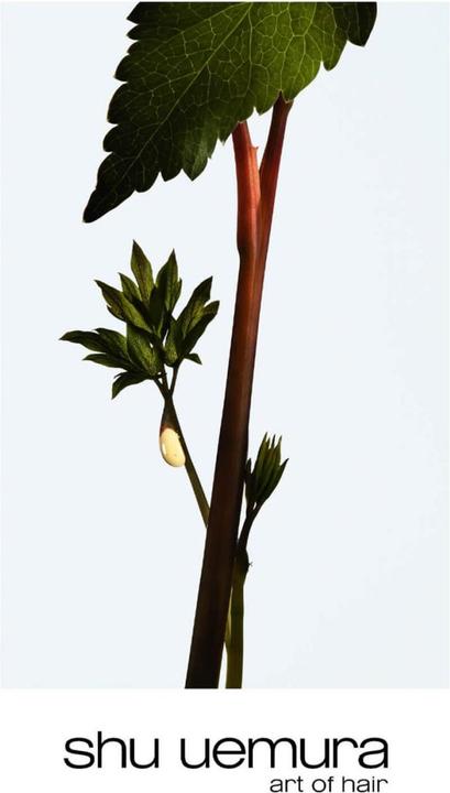 Actual product image Shu Uemura Ashita Supreme Treatment (200 ml)