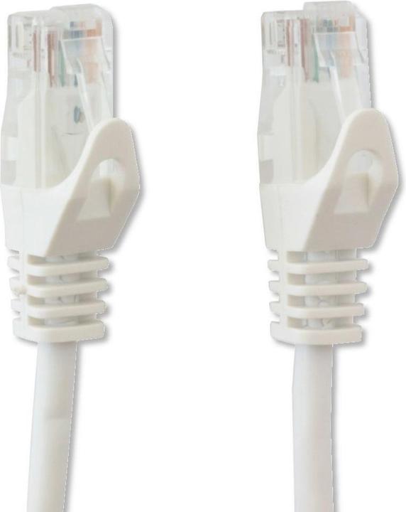 Actual product image Techly Copper Patch Cable Cat.6 UTP 2m White (U/UTP, CAT6, 2 m)