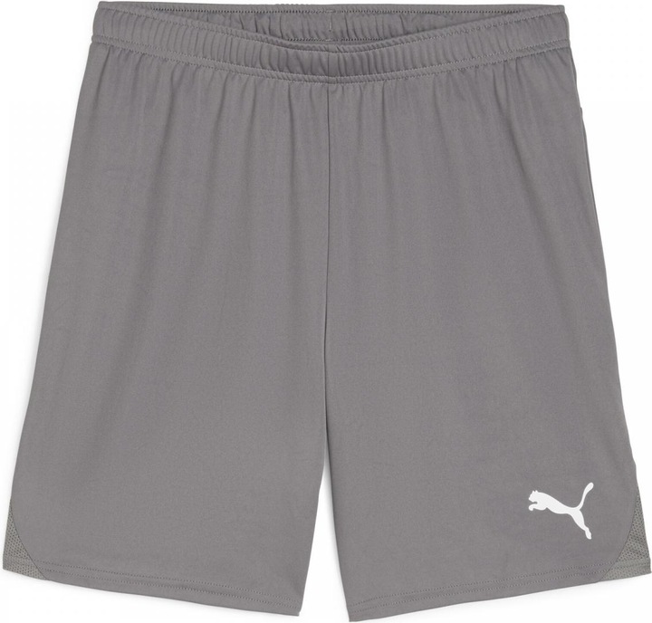 Actual product image Puma teamGOAL shorts (L)