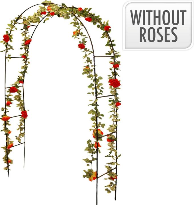 Immagine prodotto ProGarden Leone (36 cm, 140 cm)