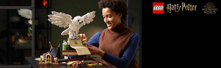 Image du produit LEGO Icônes de Poudlard - Édition Collector (76391, LEGO Harry Potter, LEGO difficiles à trouver)