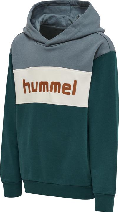 Produktbild hummel Morten Hoodie (134)