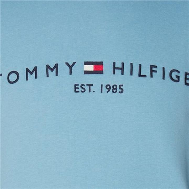 Immagine prodotto Tommy Hilfiger Tommy Logo Hoody (XS)