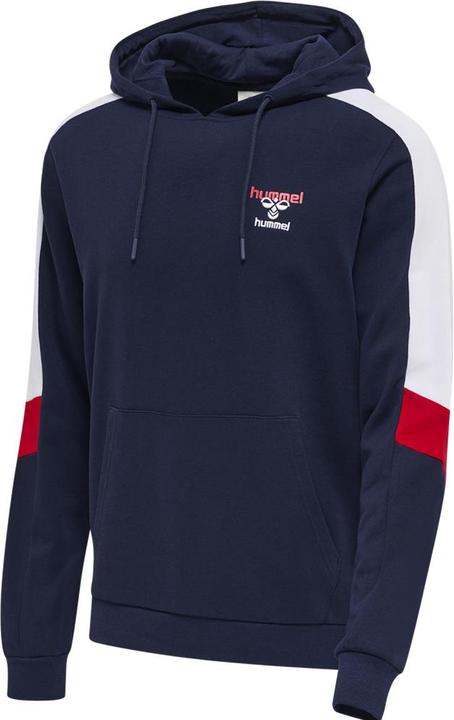 Actual product image hummel Ic Claude Hoodie (L)