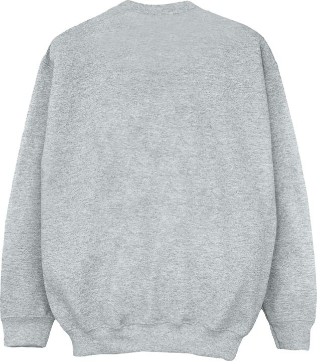 Produktbild Disney Lilo And Stitch Bitten Surfboard Sweatshirt (XL)
