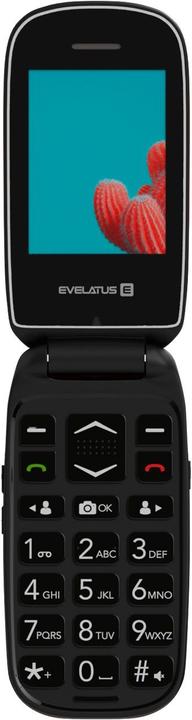 Evelatus WAVE 2020 DS EW02RD (2.40", 0.30 Mpx)