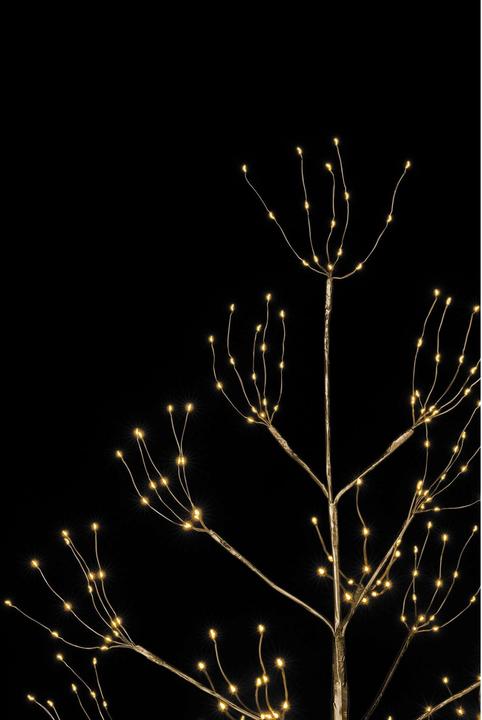 Produktbild STT Champagne Baum