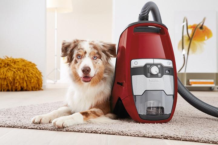 Produktbild Miele Blizzard CX 1 Cat & Dog