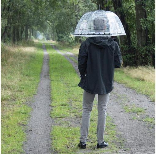 Produktbild Esschert Design Schirm Vogelkäfig Rosa/Schwarz/Transparent