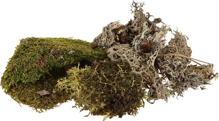 Actual product image Viana Deko- zum Basteln Mix