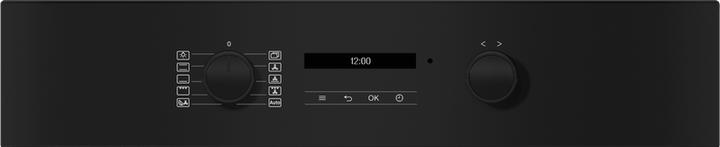 Actual product image Miele H 2861-55 B