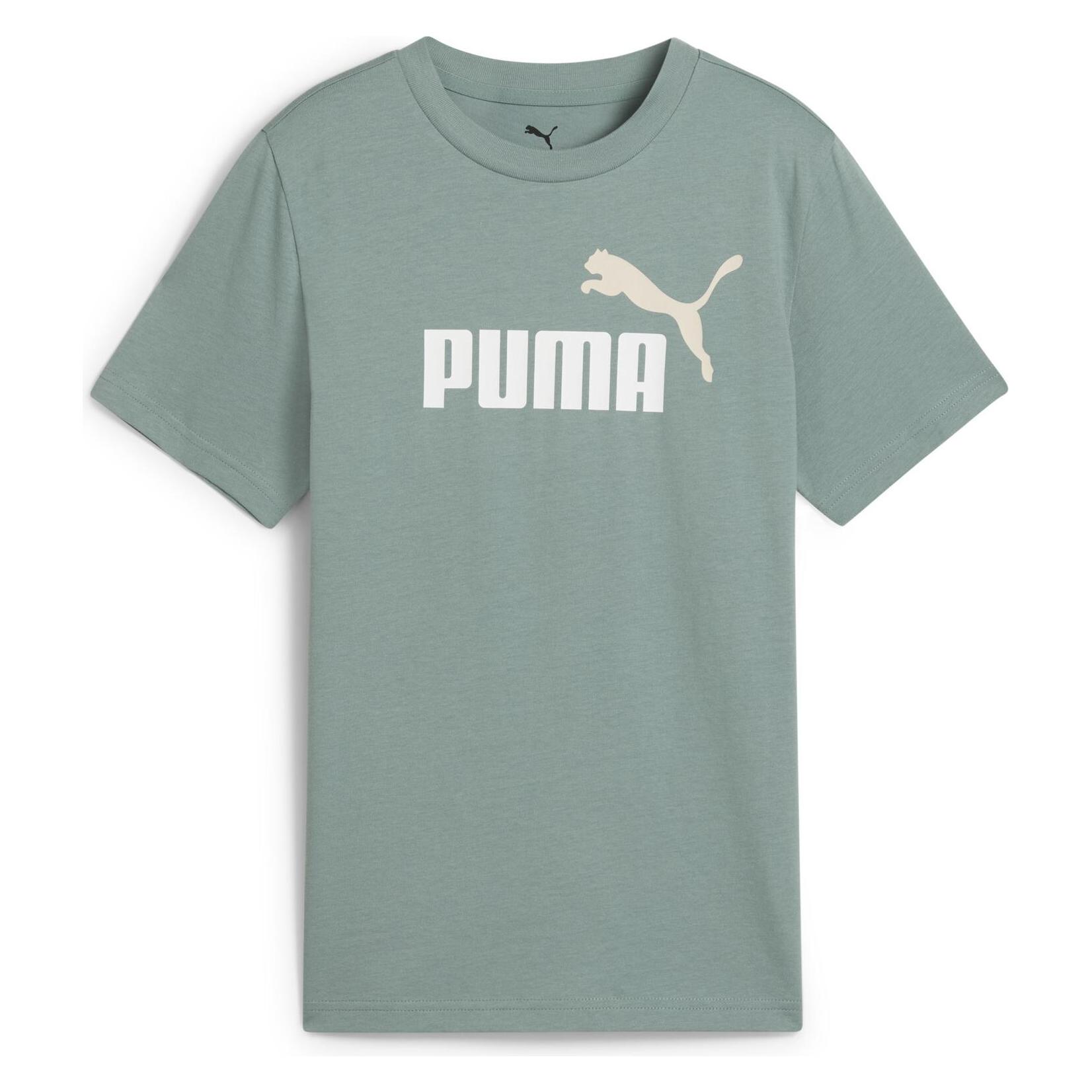 Puma, Jungen, Sportshirt, Ess 2 Color No.1 Logo Tee B (164), Mehrfarbig, 164