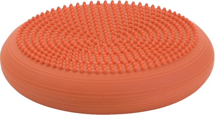 Immagine prodotto Togu Cuscino a sfera Dynair Senso 33 cm