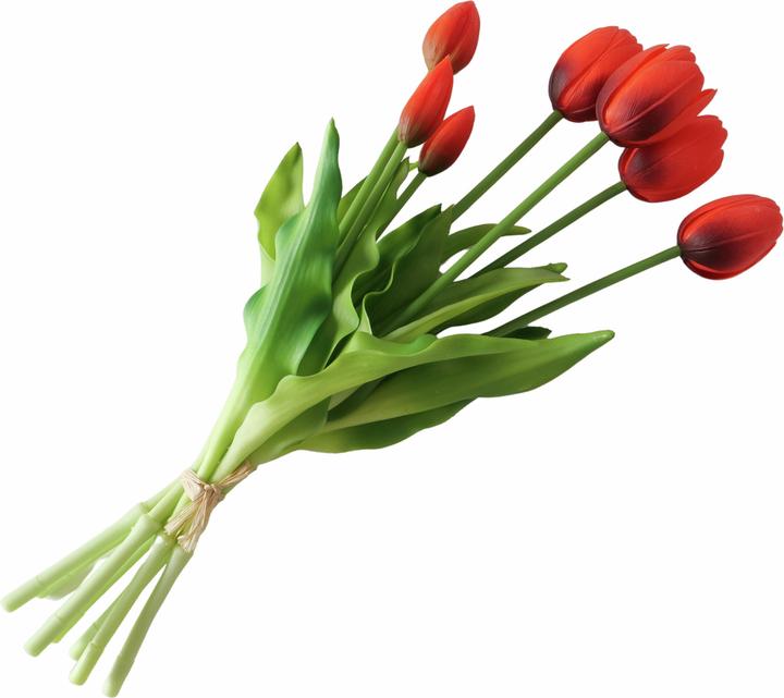 Rot