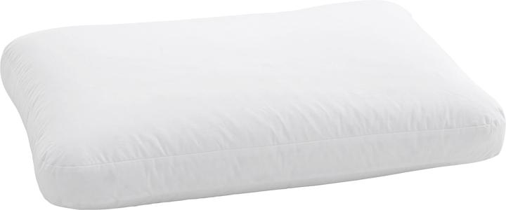 Immagine prodotto Dauny Cuscino SOFT BOX PLUS (65 x 100 cm)