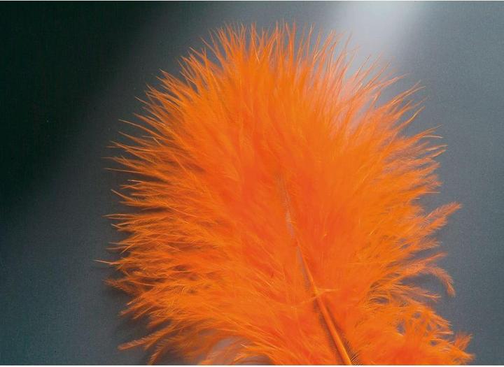 Actual product image Glorex Marabou feathers orange