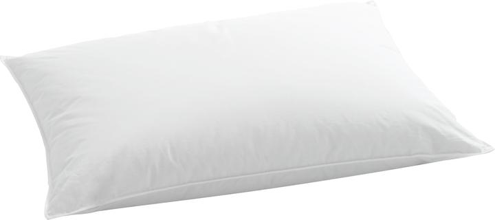 Produktbild Billerbeck Hirse/Daunen (50 x 70 cm)