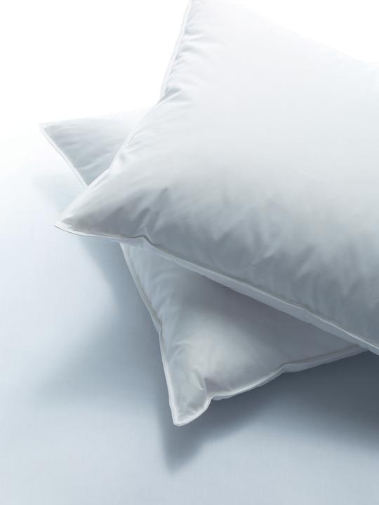 Immagine prodotto Billerbeck Standard 150 (65 x 65 cm)