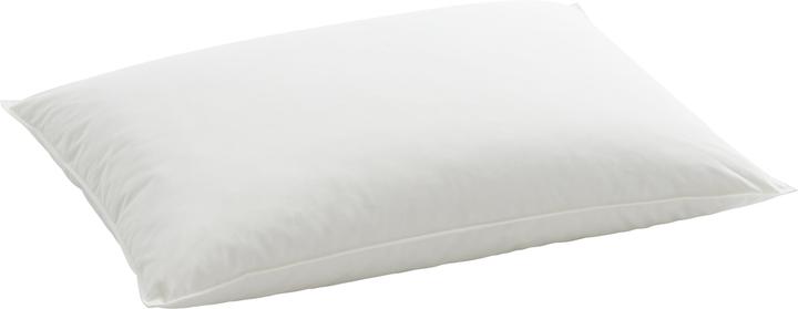 Billerbeck Organic Goose Medium (50 x 70 cm)