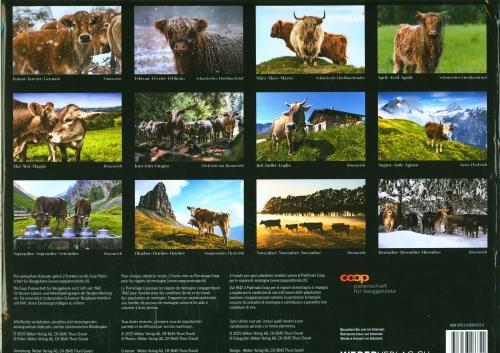 Produktbild Muuuuh... Kalender 2026