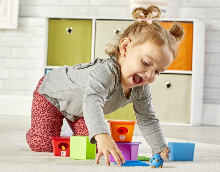 Immagine prodotto Learning Resources - Peek-a-Bird Learning Buddies (LSP6812-SCA)