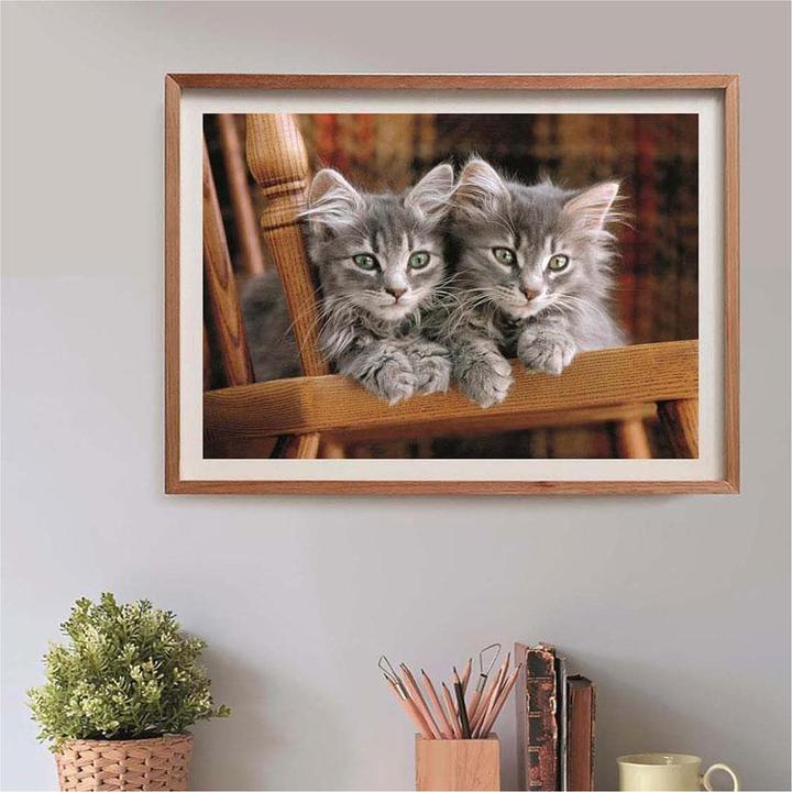Image du produit Clementoni Kittens - 500 pièces (500 pièces)