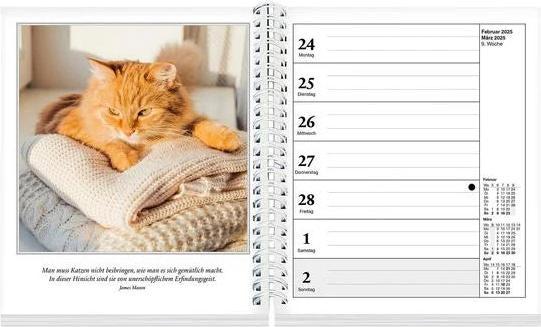 Image du produit Schmusekatzen Fotokalender 2025 (17 x 20 cm)