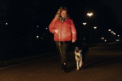 Produktbild Beeztees Bz Sg Prem Hlsb Parinca Glb 45 (Hund, Hundesport)