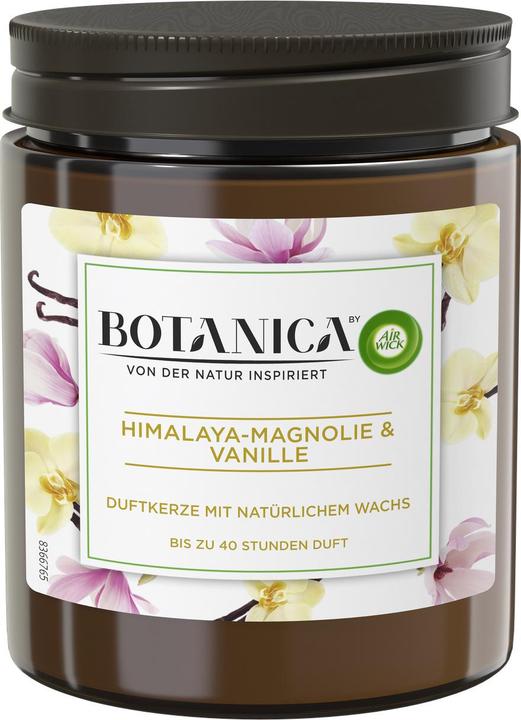 Air Wick Duftkerze Botanica Himalaya Magnolie & Vanille 205 g (205 g)