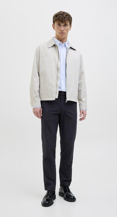 Immagine prodotto Jack & Jones Jprstan Seersucker Trouser (54)