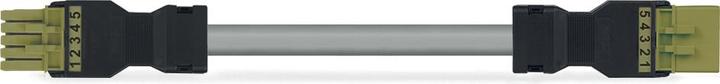 Actual product image Wago Confectionery connecting cable (2 m)