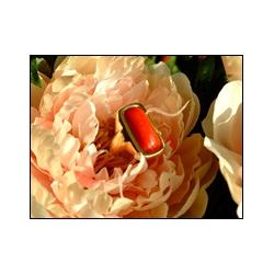 Thumbnail - Cokin Filter A101 Close up +1 (67 mm, Nahlinsen), Objektivfilter