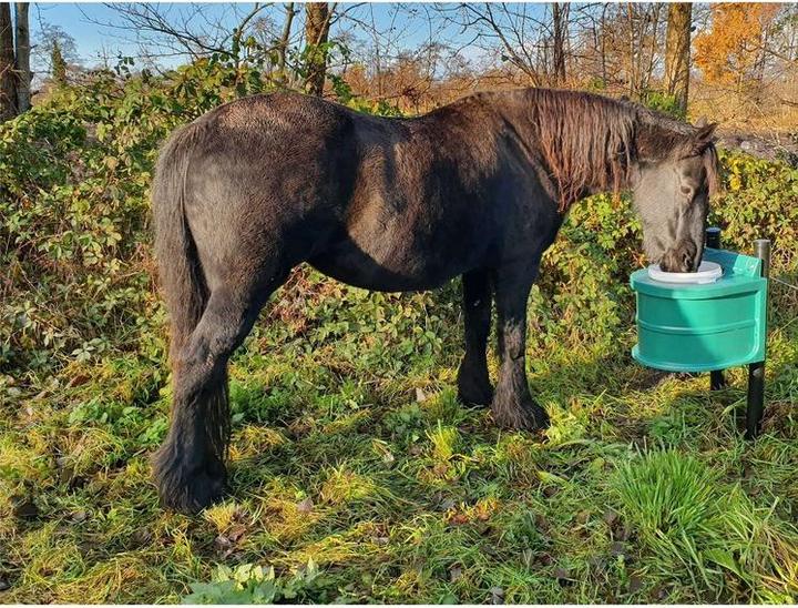 Actual product image JFC Thermal bucket thermal drinker