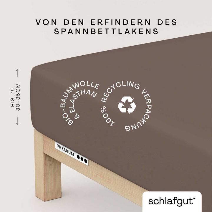 Produktbild schlafgut Premium (120 x 200 - 130 x 220 cm)