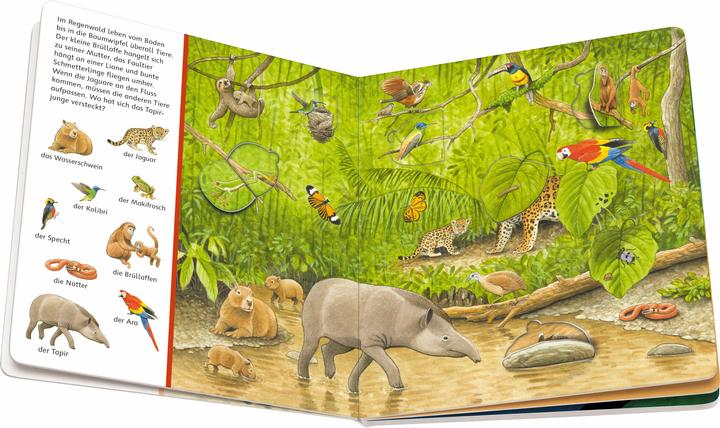 Actual product image Ravensburger My things to look for hidden object book: Animals and their children (German)