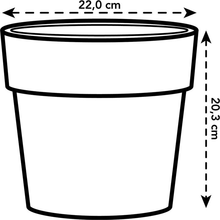 Produktbild Elho B.for Original (22 x 20.30 cm)