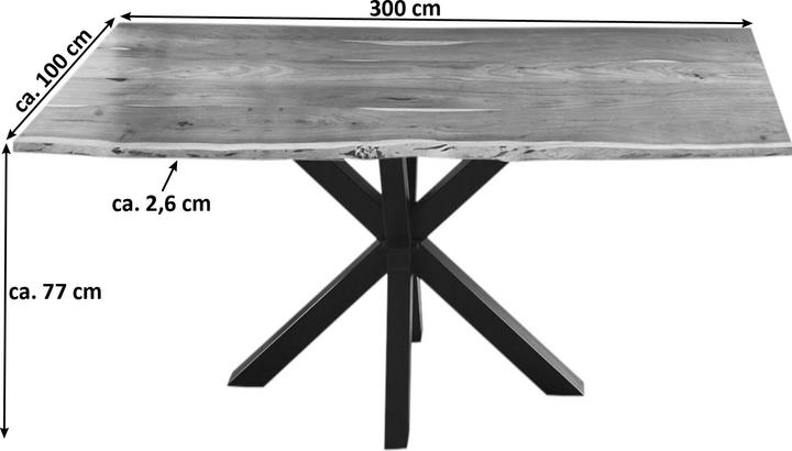 Actual product image SAM Quincy (300 x 100 x 77 cm)