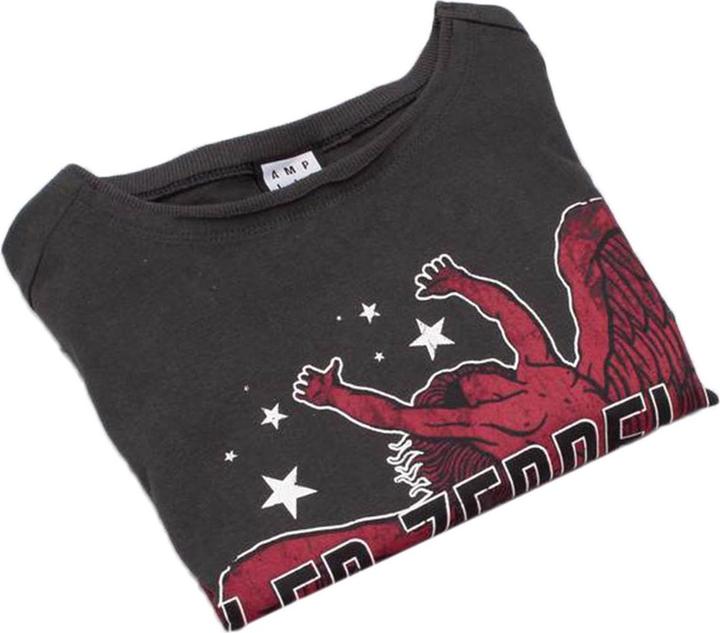 Produktbild Amplified Icarus Tour 77 Kurzes Top (XL)